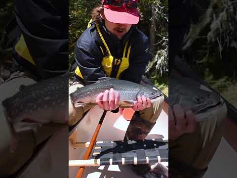 I’ve spent the last 4 months exploring the remote Canadian wilderness #camping #fishing #outdoors