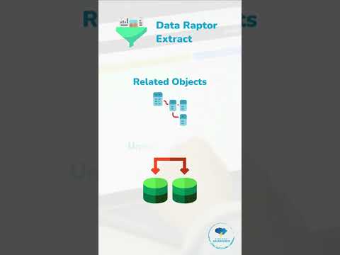 What are OmniStudio or VLocity DataRaptors? #omnistudio#vlocity#DataRaptors#youtubeshorts