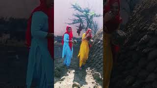 haryanvi #dance #song #youtubeshorts