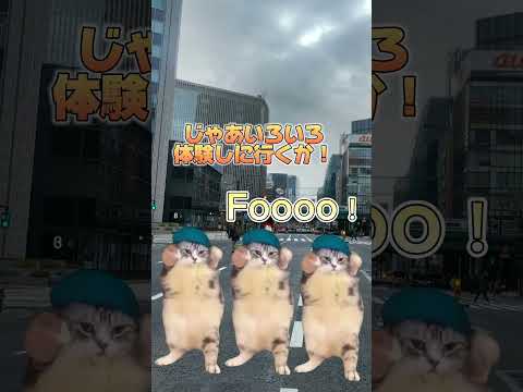 【猫ミーム】校外学習に行った日 #shorts #猫ミーム #memes #猫 #都会 #猫ミーム日常 #2024
