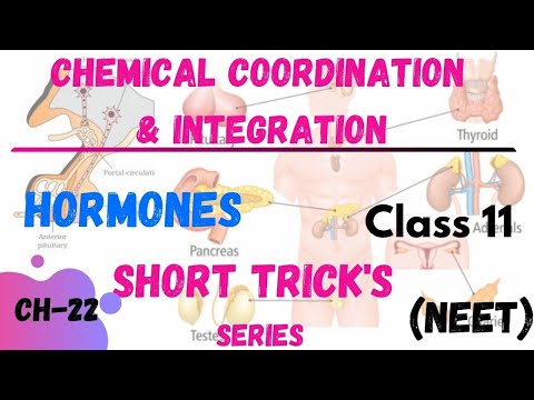 Hormones | CHEMICAL COORDINATION & INTEGRATION | NEET SHORT TRICK | NEETTRICK | NCERTBIOLOGYCLASS11