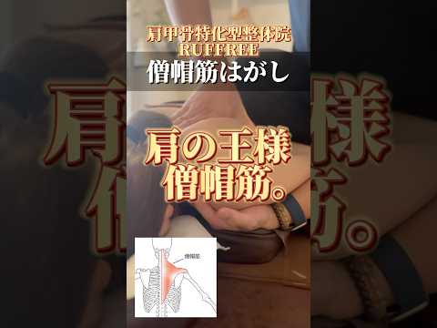 暴君の相手疲れてないですか？#整体 #美容 #肩こり #ぽっこり肩#肩甲骨はがし #massage