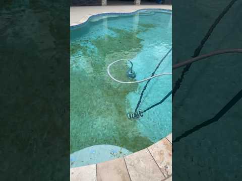 Pool transformation #greentoclean #pool #summer