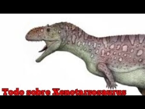 Todo sobre Xenotarsosaurus bonapartei