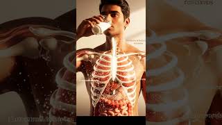 What Happens Inside Your Body When You Drink Milk 🥛 | Amazing Facts