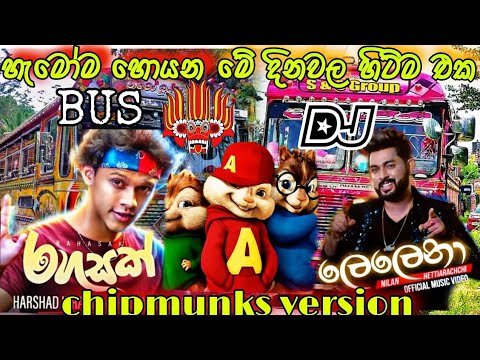 lelena,rahasak || chipmunks 🐿 version || 2021 new dj remix song || new chipmunks cover 2021|| bus dj