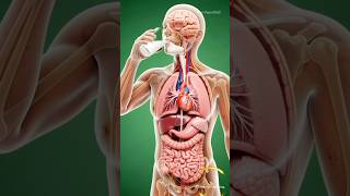 The Incredible Power of Milk to Nourish Your Body 🥛✨