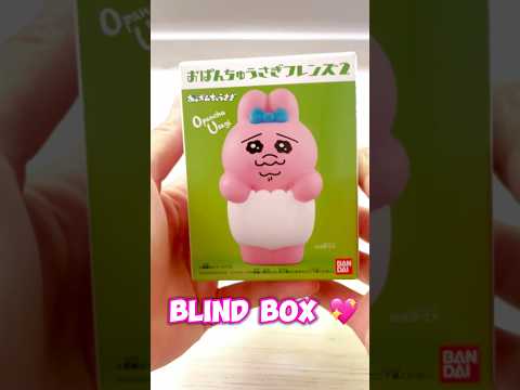 おぱんちゅうさぎ 🩷 🤍Opanchu Usagi  Blind Box