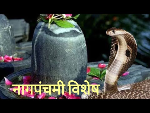 नागपंचमी का साजरी करायची?पूजा कशी करावी नागपंचमीचे महत्व| Spiritual Reasons Of Nagpanchami