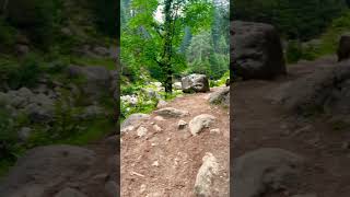 Paradise #shortvideo #youtubeshorts #allaboutexploring #traveltoexplore #love #nature #travel