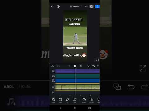 Anderson vs shewag #shorts #cricket #viral