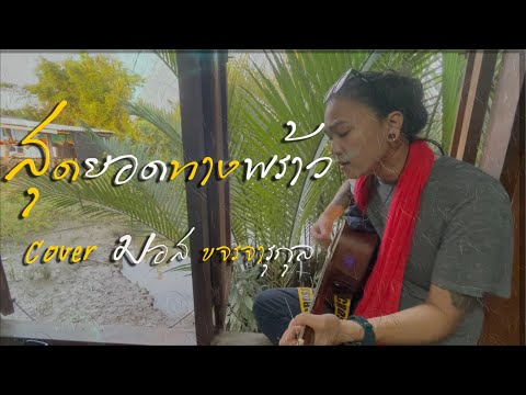 สุดยอดทางพร้าว - มอส ขจรจารุกุล Cover [ ต้นฉบับ ชัย นาทวี ]