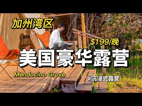 湾区｜豪华露营｜Mendocino Grove #vlog #加州 #湾区 #露营