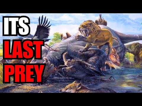The Place Where Predators Became Prey