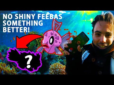 IS THIS A SHINY FEEBAS? - Shiny Feebas Communityday/Event/Special :P