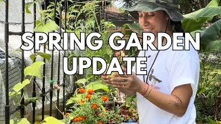 Spring Garden Bed Update 