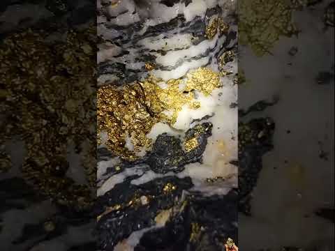 Gold Quartz Vein🪙😮  #golddiscovery #treasure#goldhunting #gold #goldrush #goldnugget