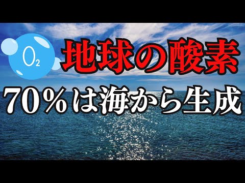 森林だけじゃない。酸素は海から70％生成されているんです！