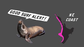 goodsurf alert NE