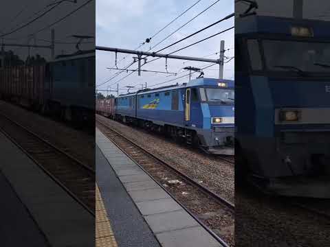 鉄道ではいよろこんで#鉄道 #はいよろこんで はい#こっちのけんと こっちの#音はめ #音楽 #shorts