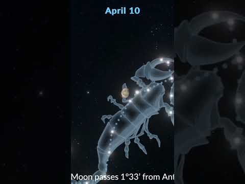 #Planets in April 2023 #planet #april #2023 #star  #constellation #astrology #astronomy