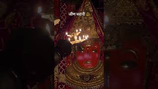 🙏🌺#jeenmataji #jeenmata #maiya #maa #mata #devi #sikar