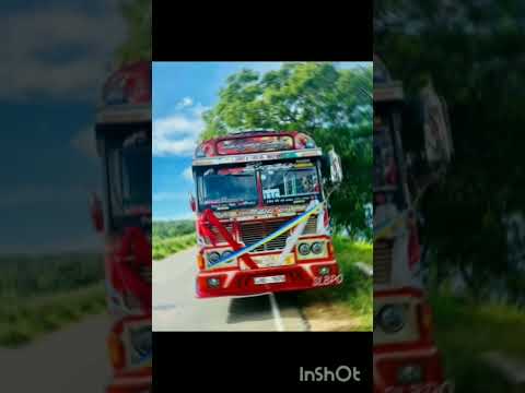 හලාවත සැප නැව කඩියා   #bus