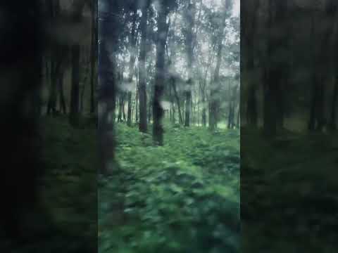 වැස්සෙම වැඩට යන මම...🥶🤧🥶#aththanagoda