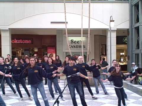 42nd St Mall Jan2010.AVI