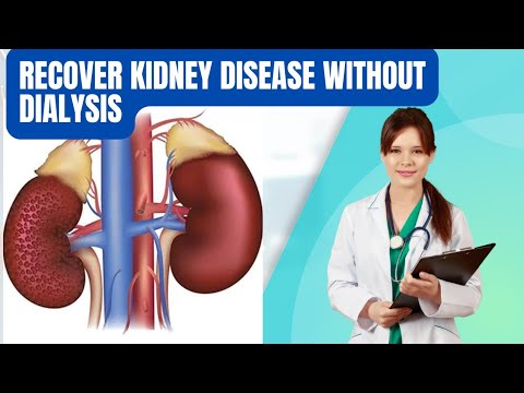 Can You Recover from Kidney Disease Without Dialysis? Discover the Secrets! | Health Hub