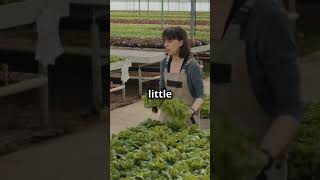 Top 3 High-Yield Crops for Small Gardens 🌱 #gardening2025 #vegetablegarden #youtubeshorts