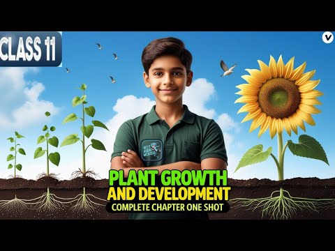 Plant Growth And Development ONE SHOT | Class 11 Biology Oneshot For NEET 2025