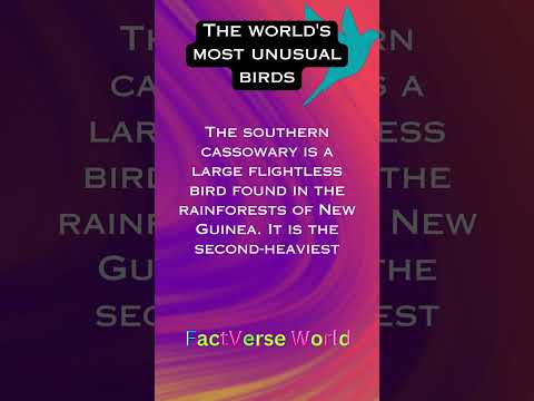 Bird Facts #viralshorts #birds