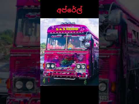 ඔයාගේ මාසේ අනුව ඔයාගේ බස් එක...💛💛💛 #shorts  #bus #dhamrajini #koombiyo