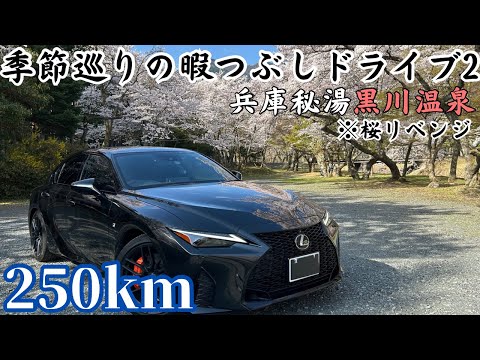 【独身男1人】早起きしてもする事ないからLEXUS ISで桜を見に行く旅。
