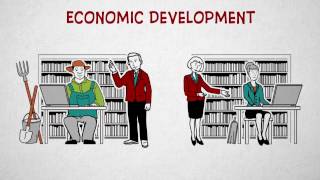 How modern public libraries are serving Ukraine