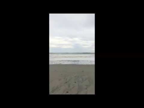 中田島砂丘の波は意外と荒れていて吸い寄せられた