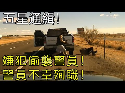 警員被擊中頭部！超百輛警車追捕嫌犯！