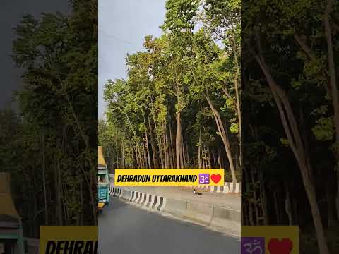 Dehradun Uttarakhand #shorts #shortvideo #youtubeshorts