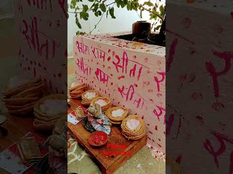 तुलसी मईया tulsi maiya   #trending #tulsi #ytshort #UP79 #यूपी 79