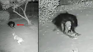 Unexplained Things Caught On Camera That Doesn't Make Sense