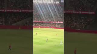 #bigbashleague2024 highlights from renegades v stars #bigbashleague
