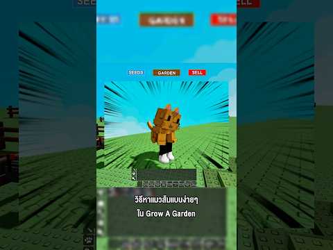 วิธีหาแมวส้มแบบง่ายๆ ใน Grow A Garden #godnkshop #growagarden #roblox #games