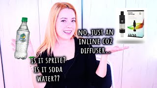 Great for plants, but can you even stand it?? 🤔 CO2 Art Inline Diffuser Review (Not Sponsored)