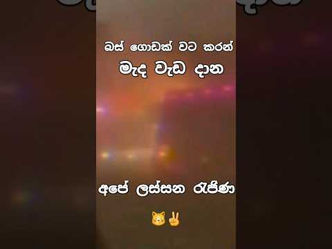බස් ගොඩක් වට කරන් මැද වැඩ දාන අපේ ලස්සන රැජිණ 😽✌️ #shortvideo #srilanka #trending #busdj #viral