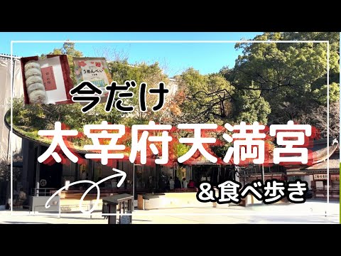 【最新】太宰府観光、絶対行くべきはココ！今だけ見られる御本殿は希少価値あり　2025/01