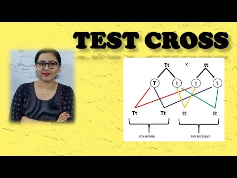 Test Cross || Genetics || Life Sciences || Biology || BioStudy Pathshala