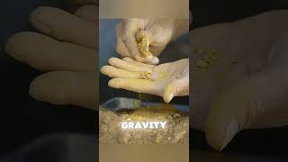 “The Science of Gold Mining: How Nature Creates Hidden Treasure