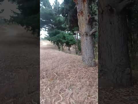 camino a trabajar 20/2