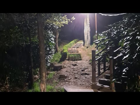 하아 운동해야하는데~ㅠㅠ#브이로그 #산책 #운동